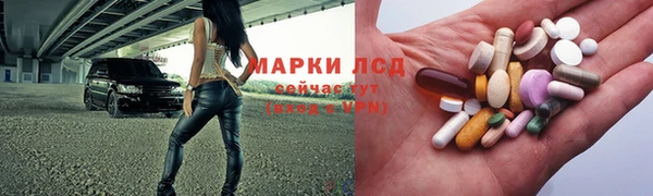 прущие крисы Долгопрудный