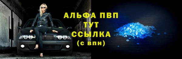 хмурый Бердск
